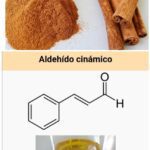 ¿LA CANELA ES SELLANTE?