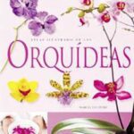 Lista no exhaustiva de orquídeas perfumadas