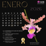 Actividades de Enero