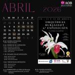 Actividades de Abril