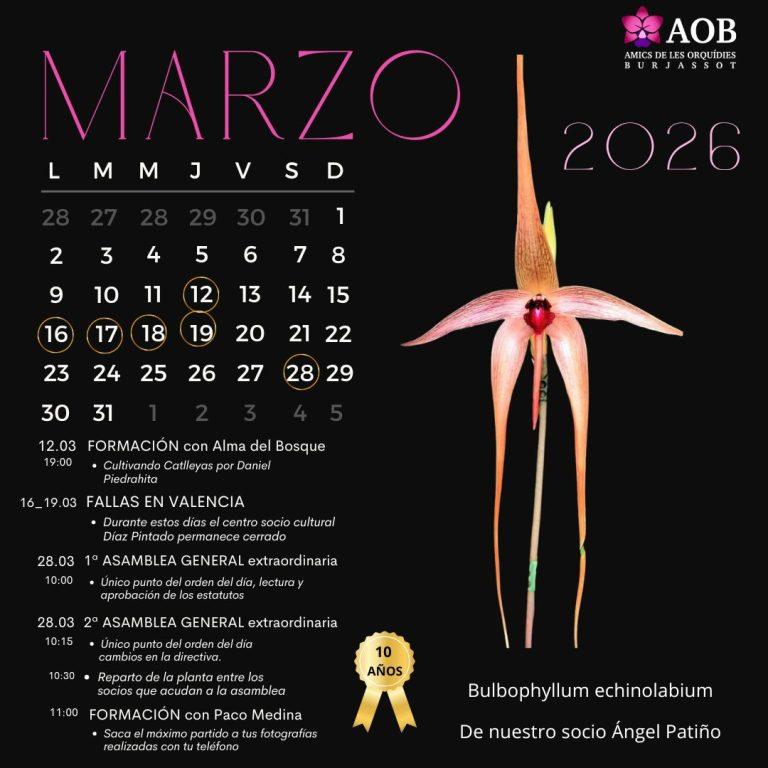 Actividades de Marzo