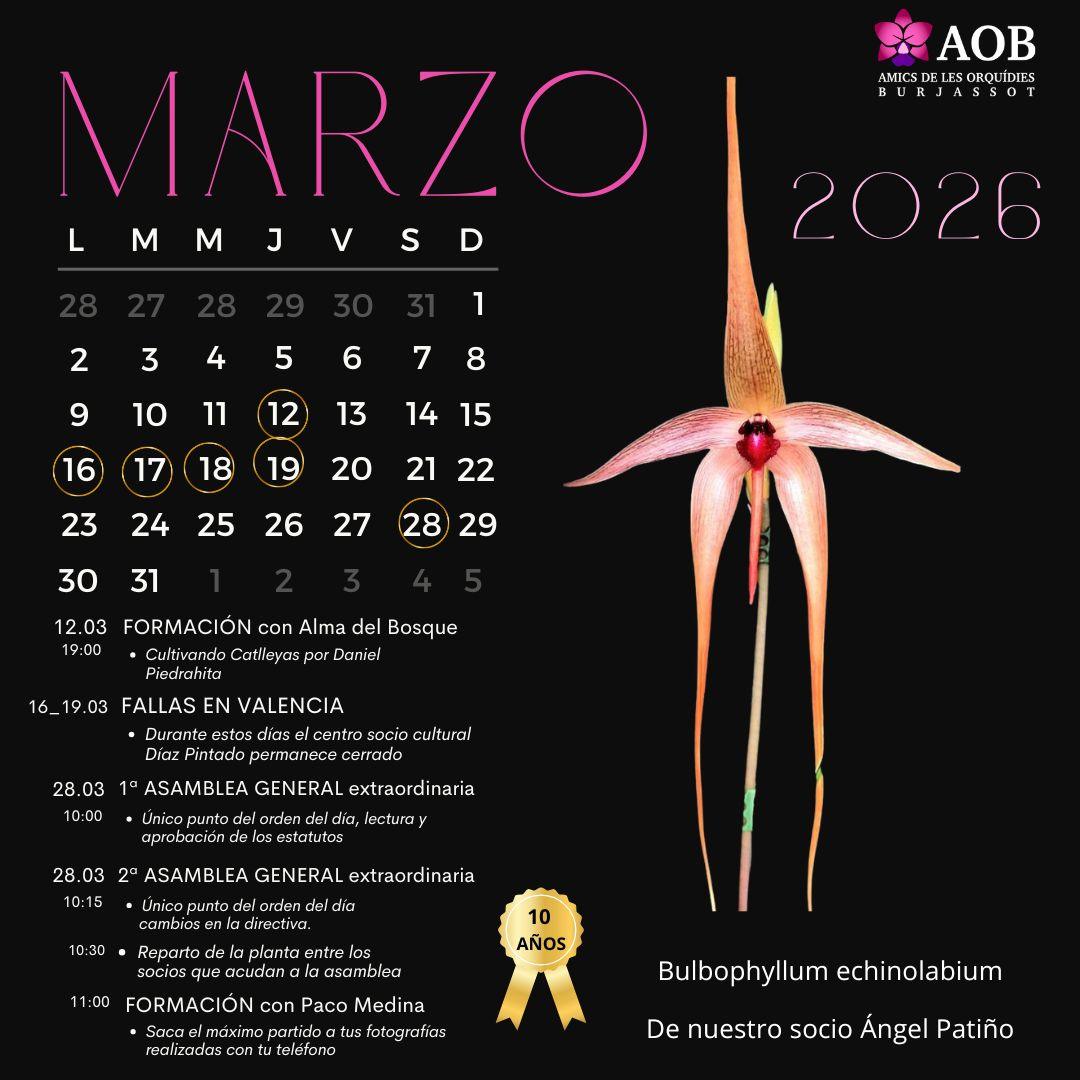 Actividades de Marzo
