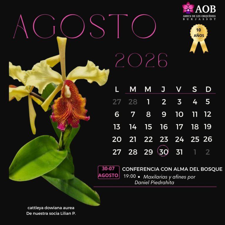 Actividades de Agosto