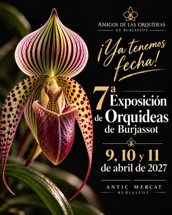 🌿✨ ¡YA TENEMOS FECHA! ✨🌿 Después de unas jornadas inolvidables, ya podemos anunciar una de…