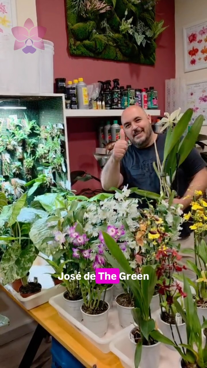 🌸 ¡THE GREEN CORNER ESTARÁ EN NUESTRAS I JORNADAS DE ORQUIDEOLOGÍA! 🌸 ¿Te gustaría cultivar…