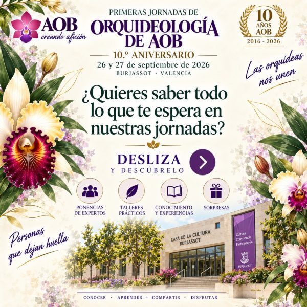 🌸 ¿TE APASIONAN LAS ORQUÍDEAS? ¡TENEMOS UN FIN DE SEMANA MUY ESPECIAL PARA TI! 💜…