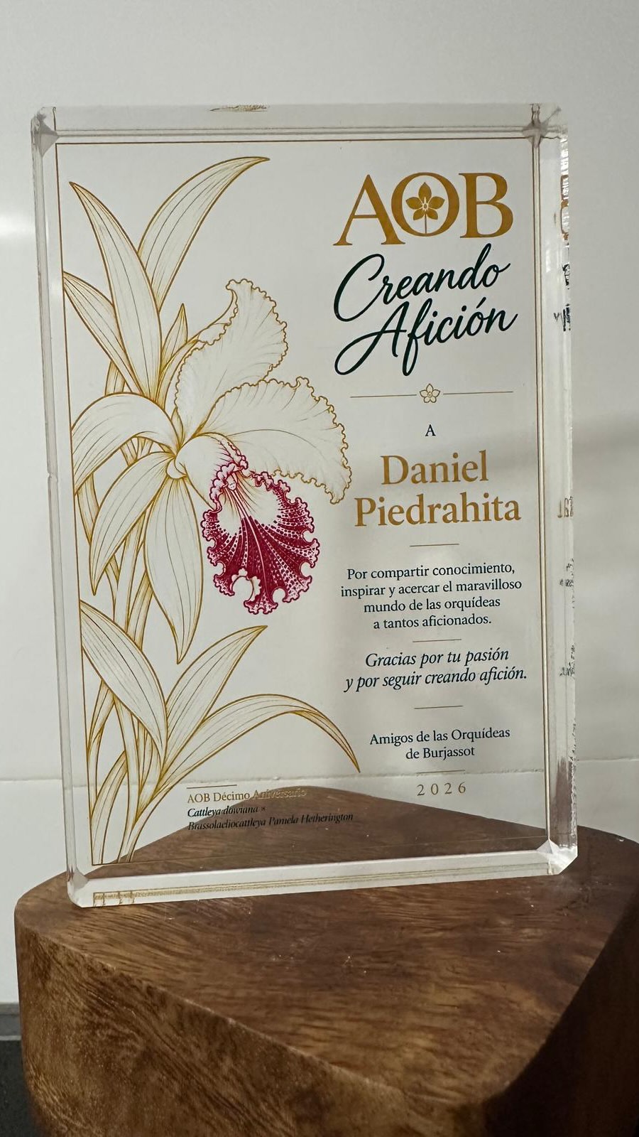 Hay personas que cultivan orquídeas… y hay personas que, además, consiguen que otros quieran descubrirlas,…
